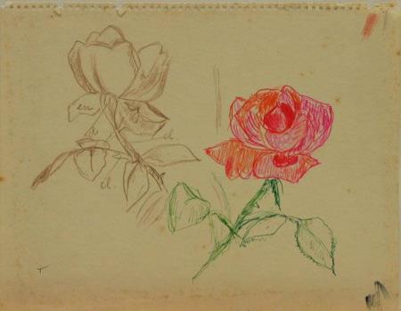 <b>Tarsila do Amaral </b>