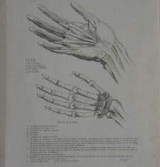 <b>Gilles Demarteau </b>