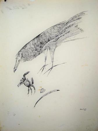 <b>Aldemir Martins </b>