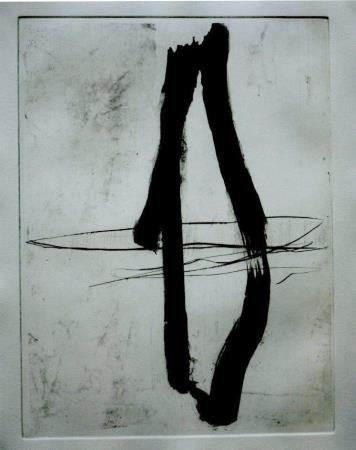<b>Paulo Camillo Penna </b>